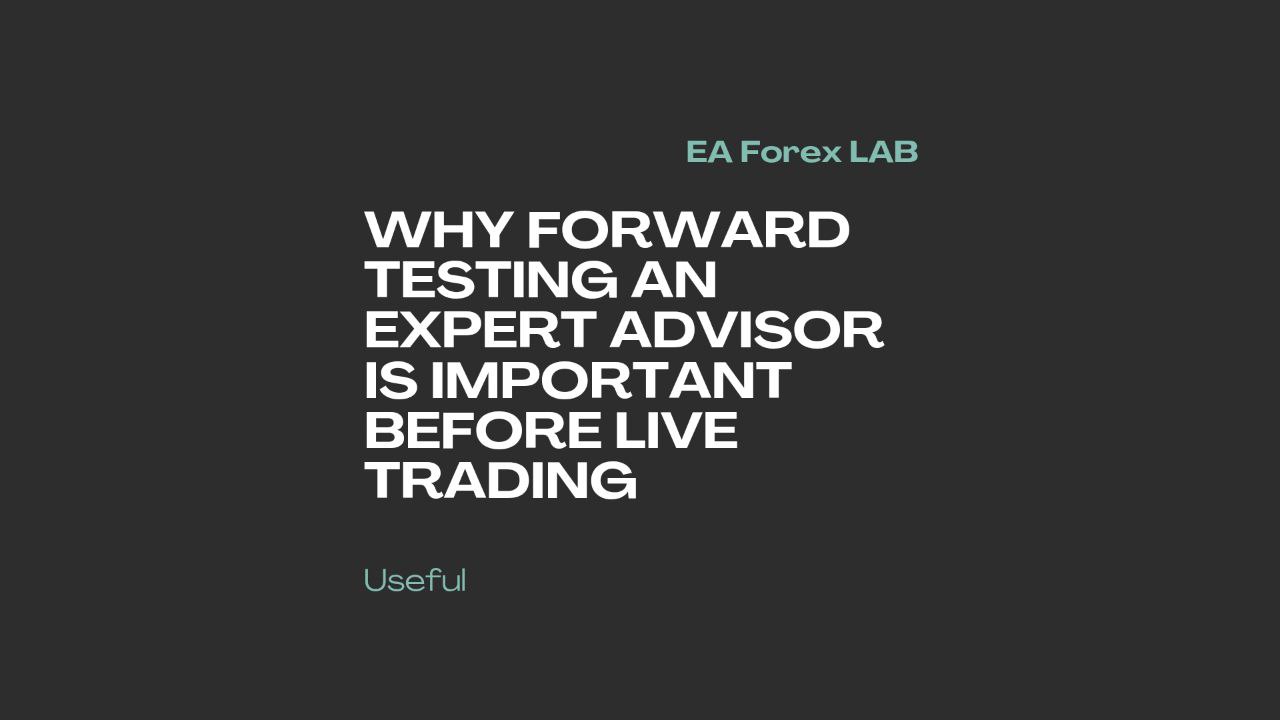 Why Forward Testing an Expert Advisor Is Important
